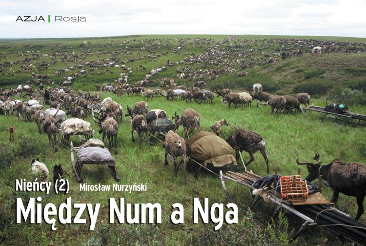 Losowy darmowy artykuł